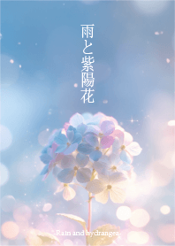 Rain and hydrangeas