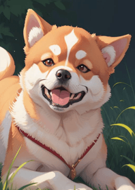 Smiling Shiba Inu w7Oz