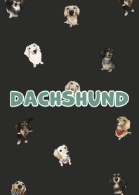 dachshund6 - carbon black