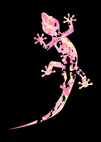 Sakura Camouflage Gecko