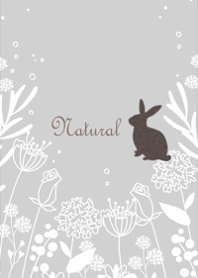 Botanical Gentle Garden18