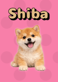 Shiba Inu Plush Theme Pink 01