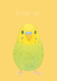 Cute Budgerigar on light yellow