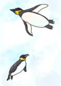 Penguin and  penguin