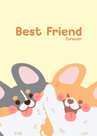 Everyday with Corgi : Sunny & Maple