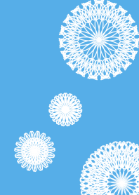 Flowers and lace ribbon -Blue White-