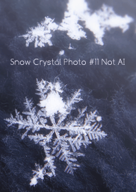 Snow Crystal Photo #11-14Not AI