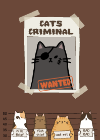 Cats Wanted_black7