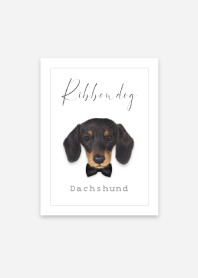 Ribbon dog - Dachshund - 01 - BLACK
