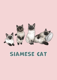 siamesecats3 / baby pink