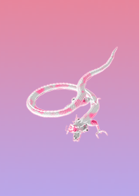 Pink White Dragon