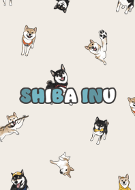 shibainu3 / beige