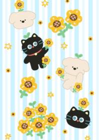 Baby Buddy x Sunflower