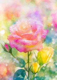 Beautiful rose flower(R2856)