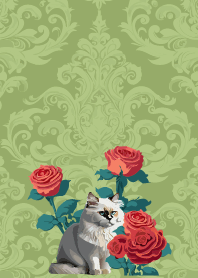 rose and white cat on moss green