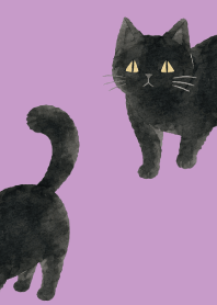A unique cat06 light purple