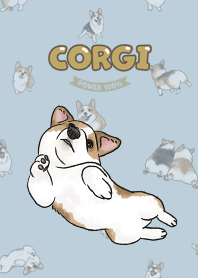 corgicorgi8 - blue