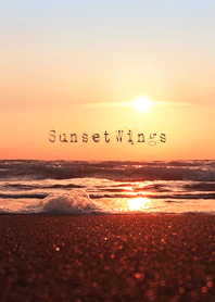 Sunset Wings