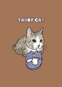 tabbycat6 / dark caramel .jp