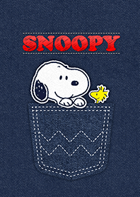 Snoopy: Denim