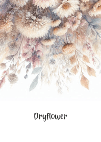 Dryflower-antique 53