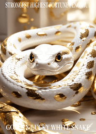 Golden Lucky White Snake 82