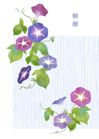 【縁起物】朝顔