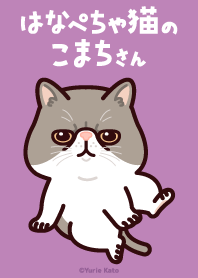 Ms. Komachi of flat faced cat