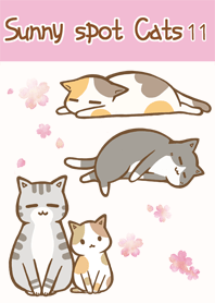 陽光下的貓 11 櫻花