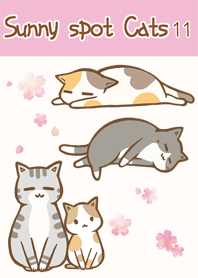 sunny spot cats No11 SAKURA
