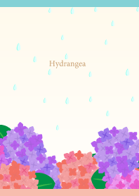 Rain and Hydrangea on pink & light blue
