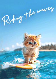 Surfer kitten/summer sea & blue sky