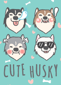 Cute Husky v.3 (III)
