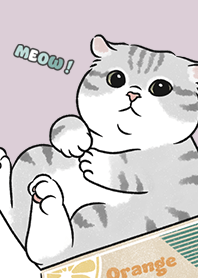 neko single15 / taro