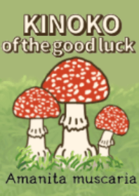 KINOKO of the good luck