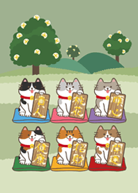 แมวนำโชคในป่า！(เทาเขียว)