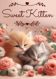Sweet Kitten No.253