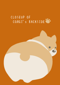 CLOSEUP OF CORGI's BACKSIDE/TERRACOTTA