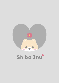 Shiba Inu2 Flower / gray