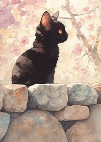 A black cat admiring flowers (purple)