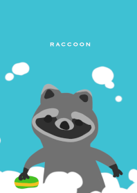 Wash raccoon