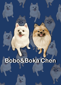 Bobo&Boka Chen（Navy blue）