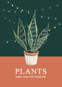 簡約植物系列-聖誕版