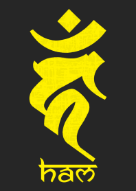 BONJI [haM] BLACK YELLOW (0112