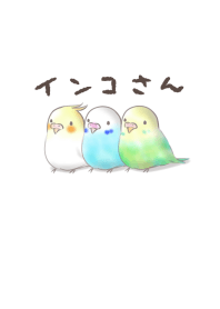 Simple parakeet theme