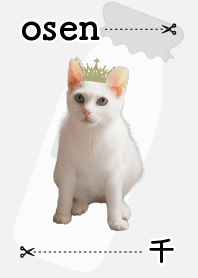 保護猫お千のてーま