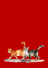 two cats on red & beige