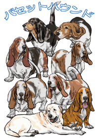 Hello Basset Hound Part8