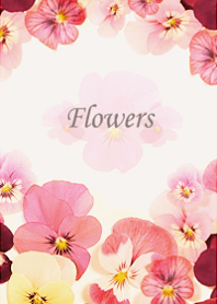 そこに可憐に咲くビオラの小花5