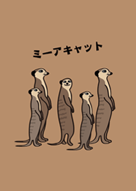 我養的可愛狐獴(奶茶色)